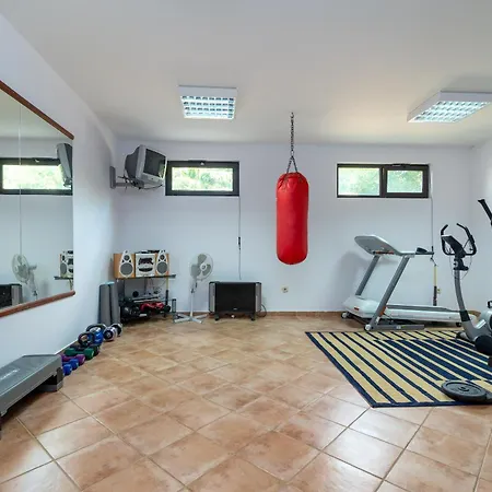 Maca & * 트로기르