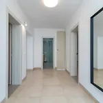 Apartment Maca & With Heated Pool Near 50m