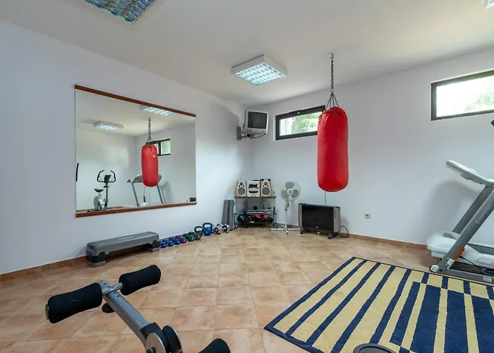 Maca & Apartment